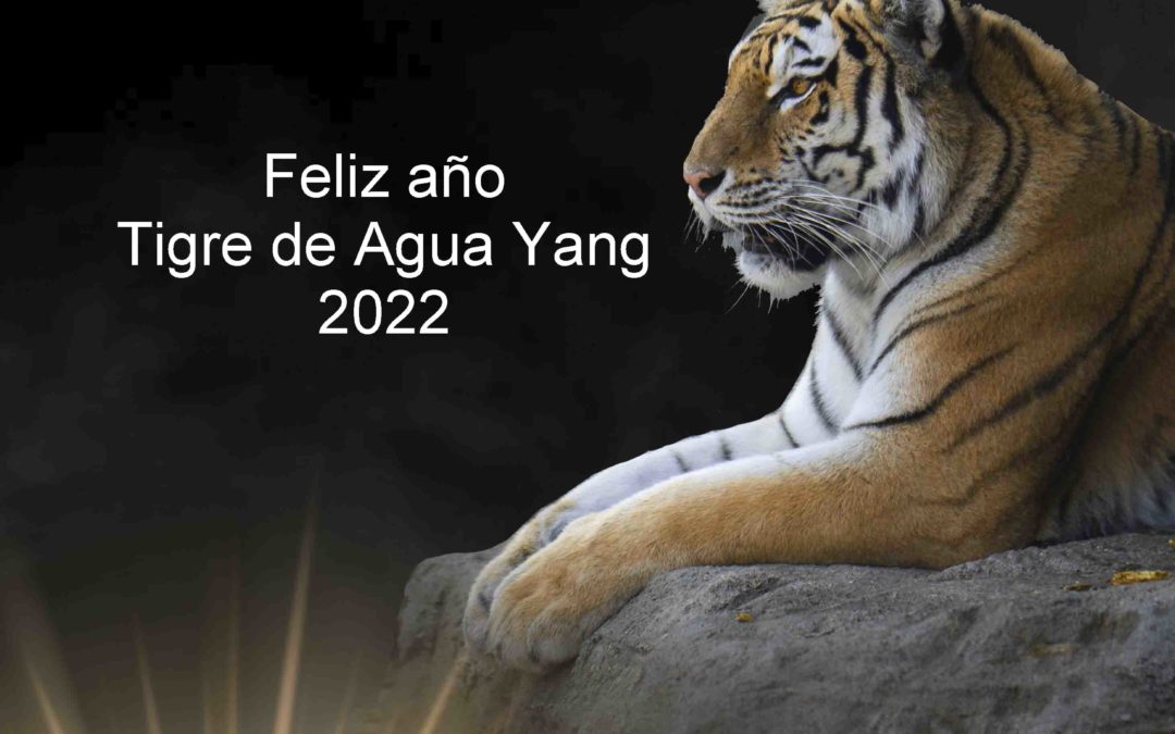 Pronóstico del año Tigre de Agua Yang